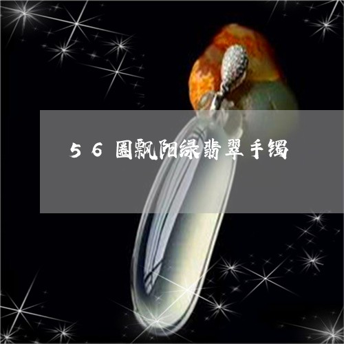 56圈飘阳绿翡翠手镯/2023082661714