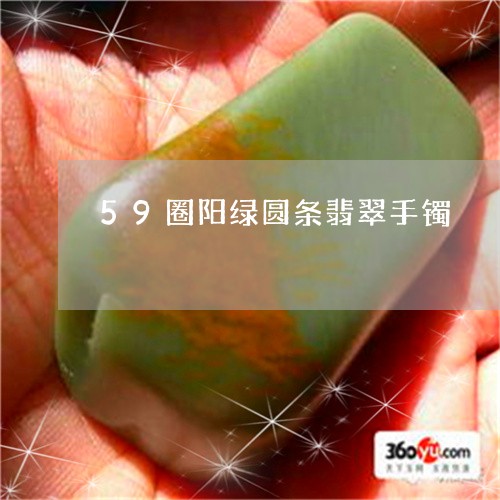 59圈阳绿圆条翡翠手镯/2023070940795