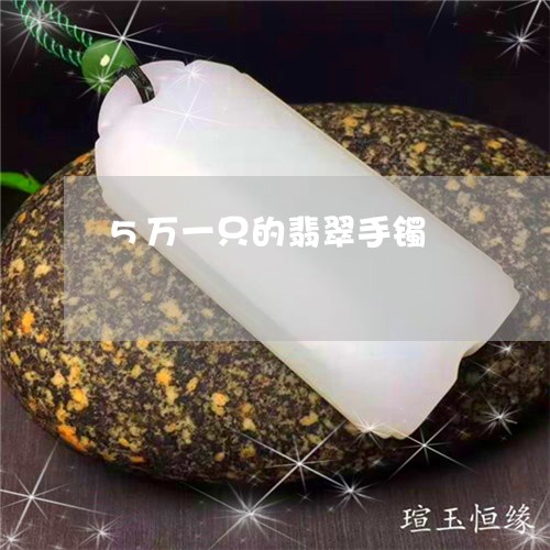 5万一只的翡翠手镯/2023033180617