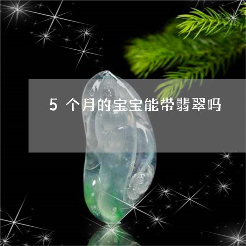 5个月的宝宝能带翡翠吗/2023070814047