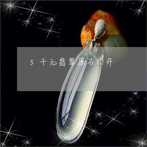 5千元翡翠原石切开/2023040195035