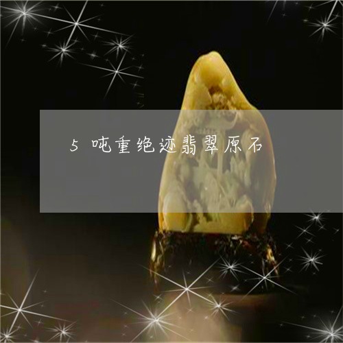 5吨重绝迹翡翠原石/2023040195149