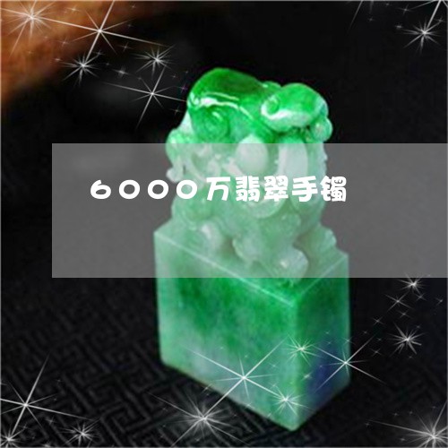 6000万翡翠手镯/2023040127971