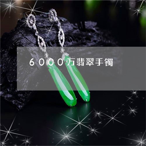 6000万翡翠手镯/2023040181795