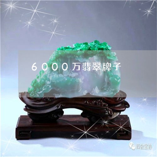 6000万翡翠牌子/2023040168526