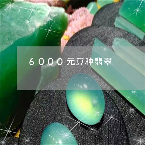 6000元豆种翡翠/2023100151683