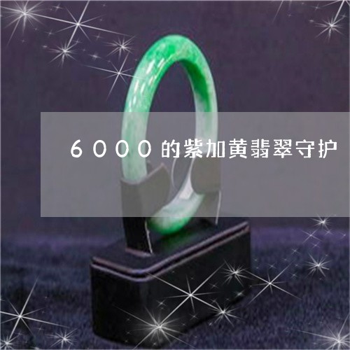 6000的紫加黄翡翠守护/2023060927169