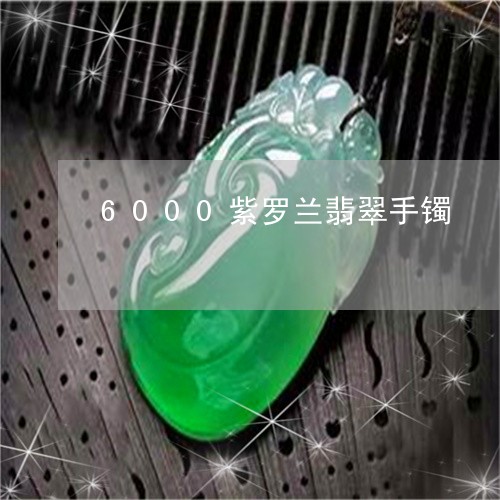 6000紫罗兰翡翠手镯/2023070828159