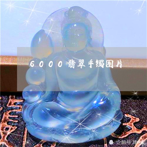 6000翡翠手镯图片/2023041155947