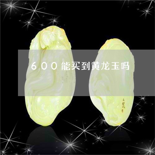 600能买到黄龙玉吗/2023041154147