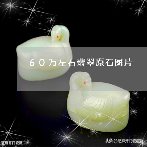 60万左右翡翠原石图片/2023070875027