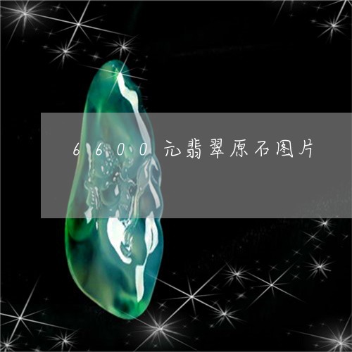 6600元翡翠原石图片/2023070984926