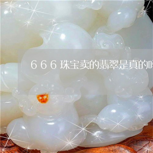 666珠宝卖的翡翠是真的吗/2023112306956