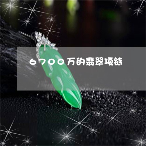 6700万的翡翠项链/2023041163959