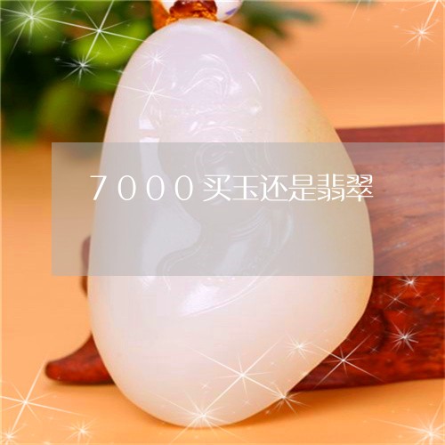 7000买玉还是翡翠/2023051194047