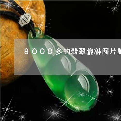 8000多的翡翠貔貅图片腿/2023100774161