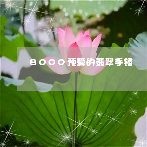 8000预算的翡翠手镯/2023070842836