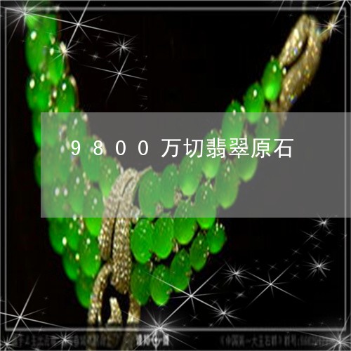 9800万切翡翠原石/2023041184048