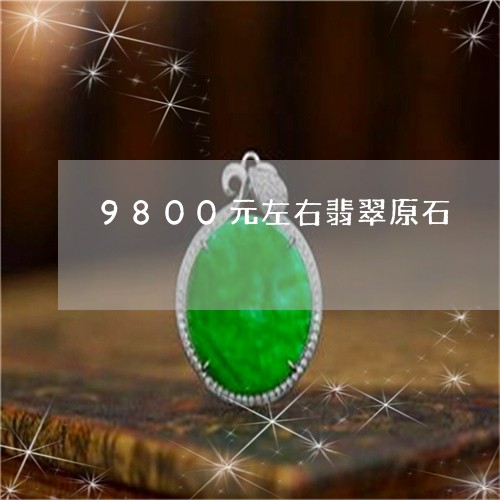 9800元左右翡翠原石/2023070917169