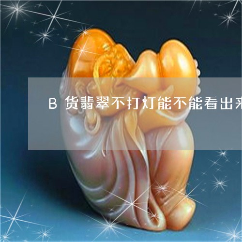 B货翡翠不打灯能不能看出来/2023100715027