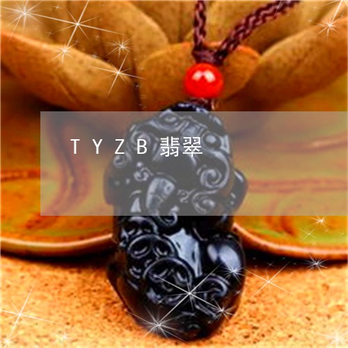 TYZB翡翠/2023080102808