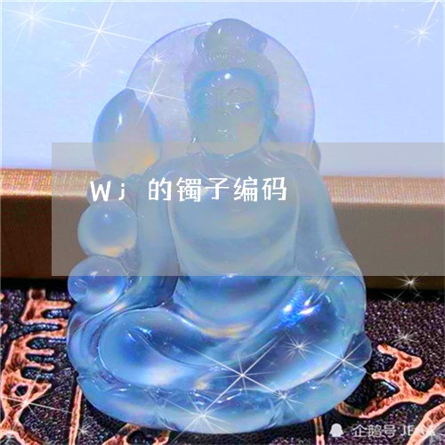 Wj的镯子编码/2023042548482