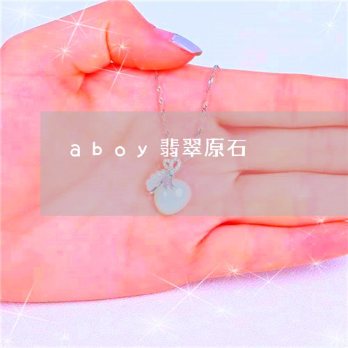 aboy翡翠原石/2023093017158