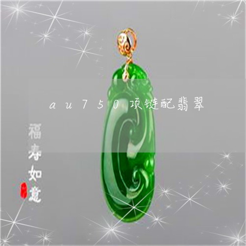 au750项链配翡翠/2023061540413