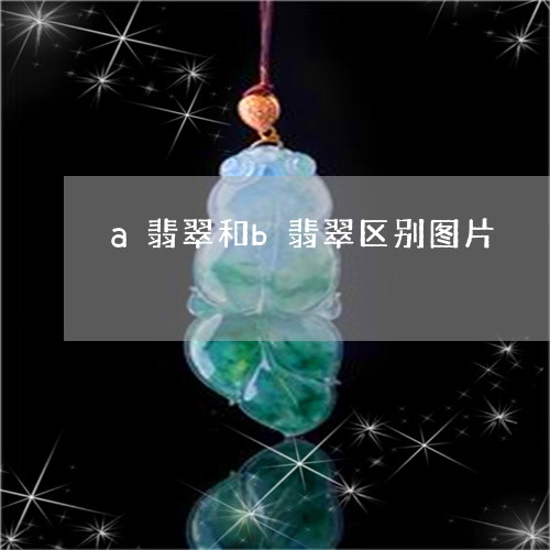 a翡翠和b翡翠区别图片/2023070840603