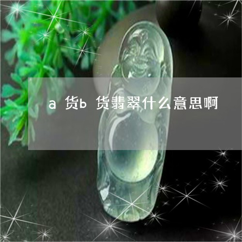 a货b货翡翠什么意思啊/2023070825149