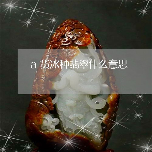 a货冰种翡翠什么意思/2023061501484