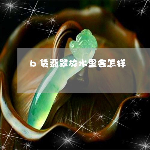 b货翡翠放水里会怎样/2023041050682