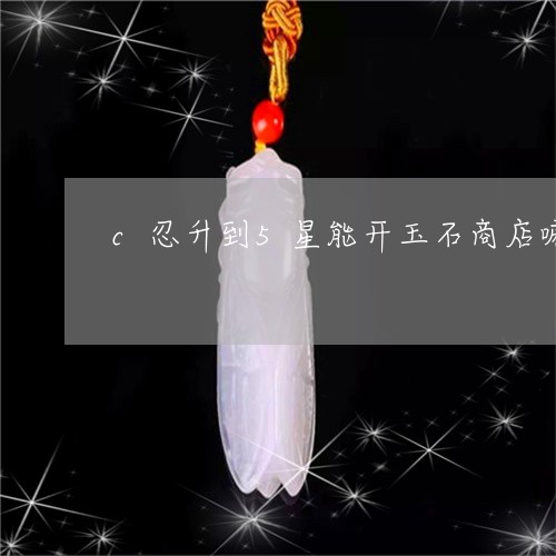 c忍升到5星能开玉石商店嘛/2023112436959