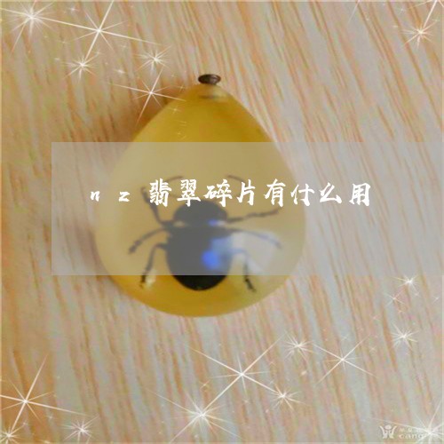 nz翡翠碎片有什么用/2023041085160