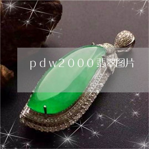 pdw2000翡翠图片/2023070807060