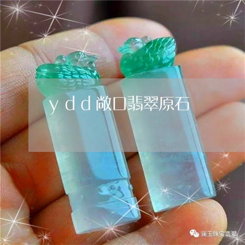 ydd敞口翡翠原石/2023033135948