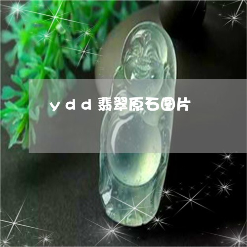 ydd翡翠原石图片/2023033185351