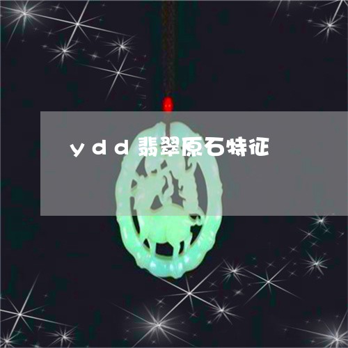 ydd翡翠原石特征/2023033140380