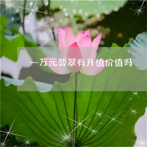 一万元翡翠有升值价值吗/2023070845059