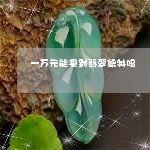 一万元能买到翡翠貔貅吗/2023070811795