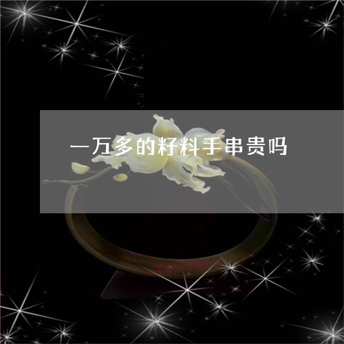 一万多的籽料手串贵吗/2023082569492