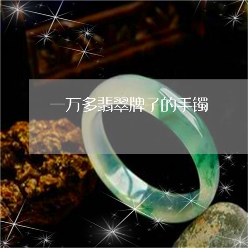 一万多翡翠牌子的手镯/2023082506372