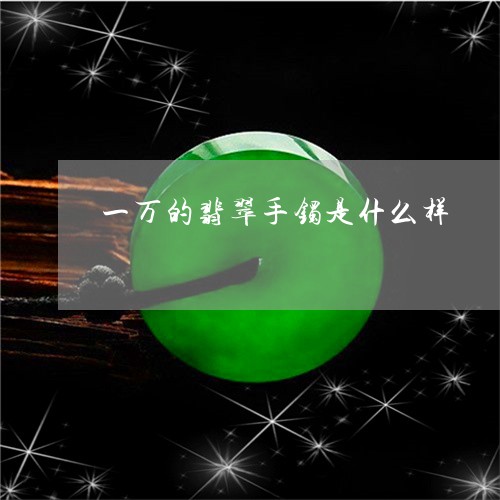 一万的翡翠手镯是什么样/2023070873937