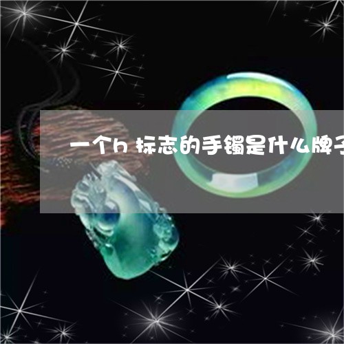 一个h标志的手镯是什么牌子/2023061048360