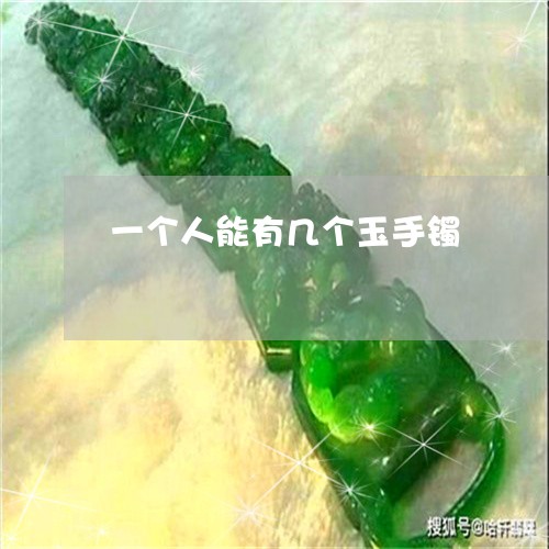 一个人能有几个玉手镯/2023041042825