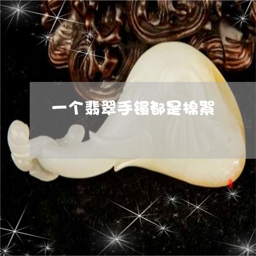 一个翡翠手镯都是棉絮/2023041055169