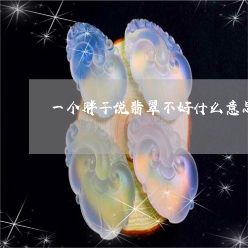 一个胖子说翡翠不好什么意思/2023100764261