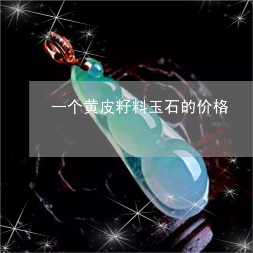 一个黄皮籽料玉石的价格/2023070914836