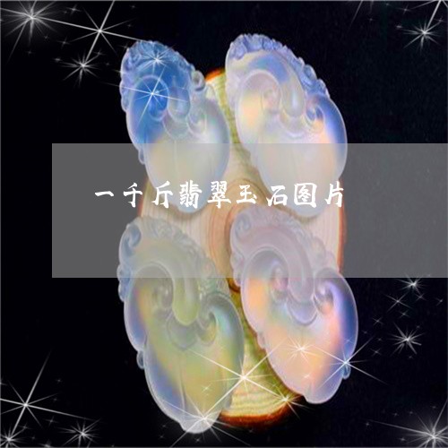 一千斤翡翠玉石图片/2023033146171