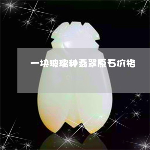 一块玻璃种翡翠原石价格/2023070960571